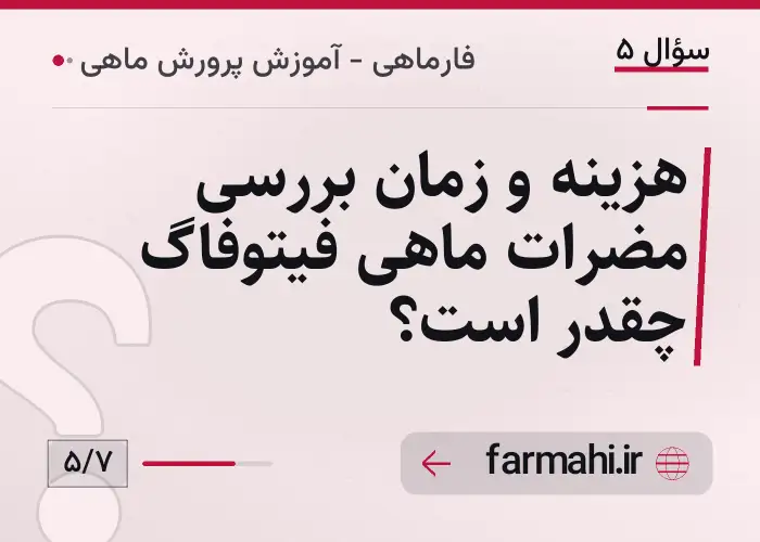 هزینه و زمان بررسی مضرات ماهی فیتوفاگ چقدر است؟