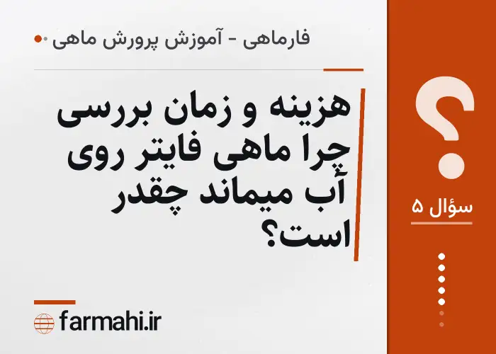 هزینه و زمان بررسی چرا ماهی فایتر روی آب میماند چقدر است؟