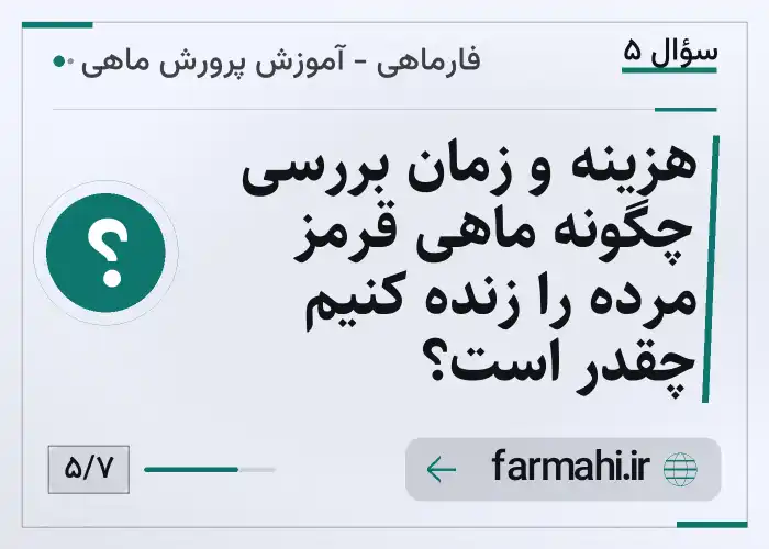 هزینه و زمان بررسی چگونه ماهی قرمز مرده را زنده کنیم چقدر است؟