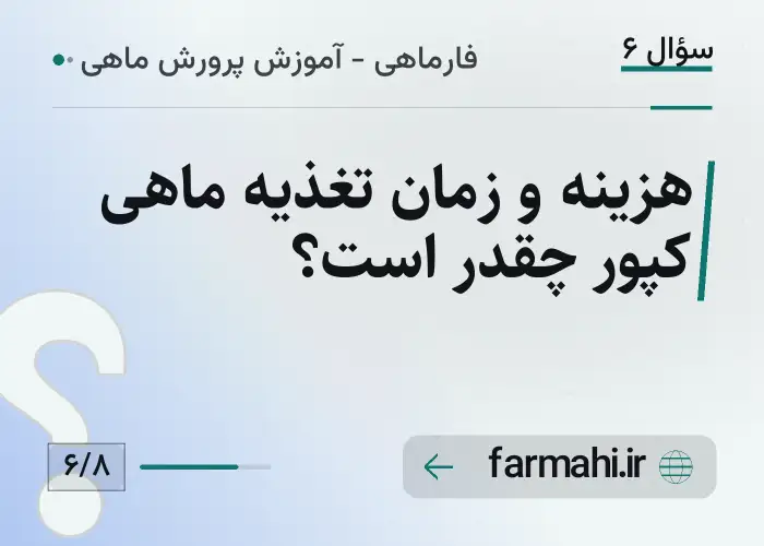هزینه و زمان تغذیه ماهی کپور چقدر است؟