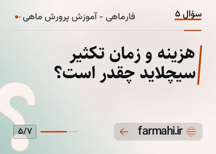 هزینه و زمان تکثیر سیچلاید چقدر است؟