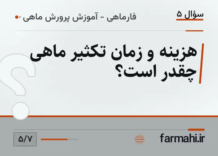 هزینه و زمان تکثیر ماهی چقدر است؟