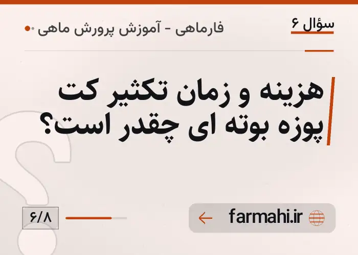 هزینه و زمان تکثیر کت پوزه بوته ای چقدر است؟