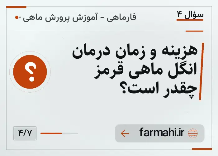 هزینه و زمان درمان انگل ماهی قرمز چقدر است؟