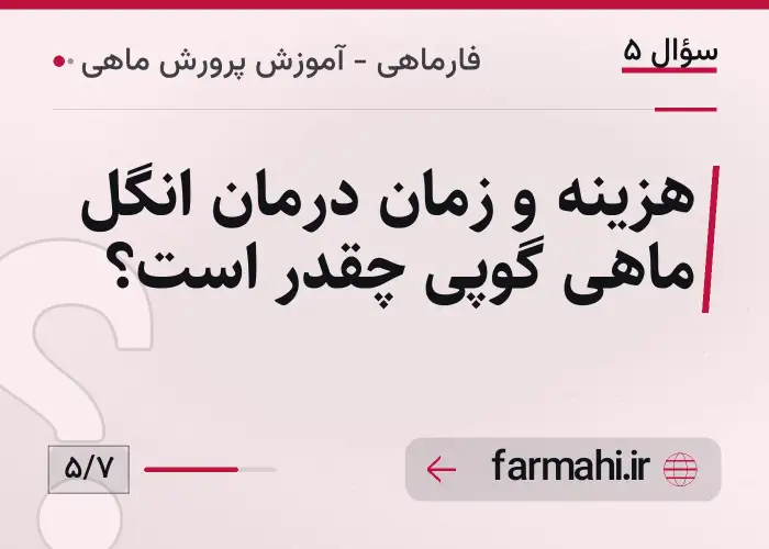 هزینه و زمان درمان انگل ماهی گوپی چقدر است؟
