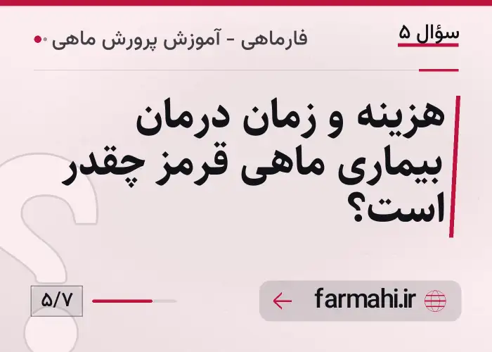 هزینه و زمان درمان بیماری ماهی قرمز چقدر است؟