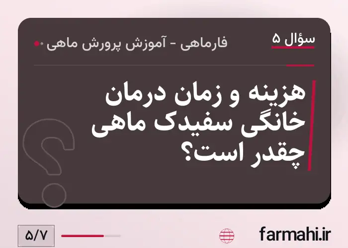 هزینه و زمان درمان خانگی سفیدک ماهی چقدر است؟