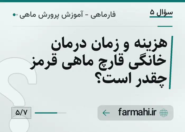 هزینه و زمان درمان خانگی قارچ ماهی قرمز چقدر است؟