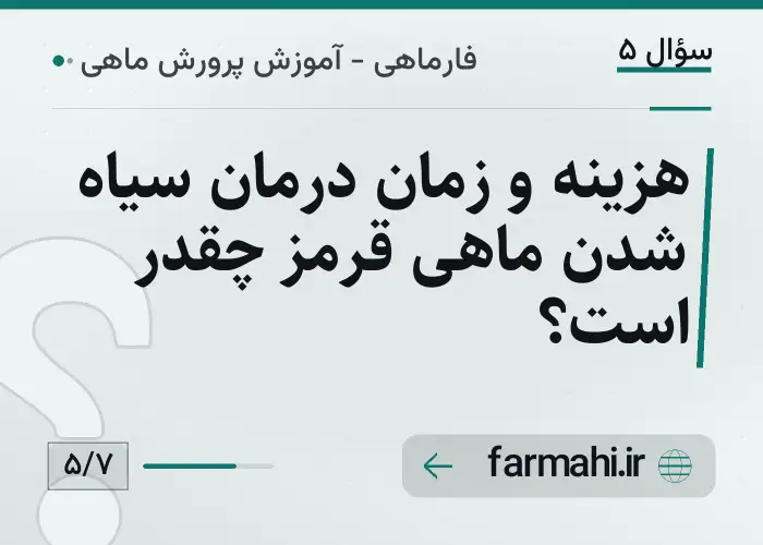 هزینه و زمان درمان سیاه شدن ماهی قرمز چقدر است؟