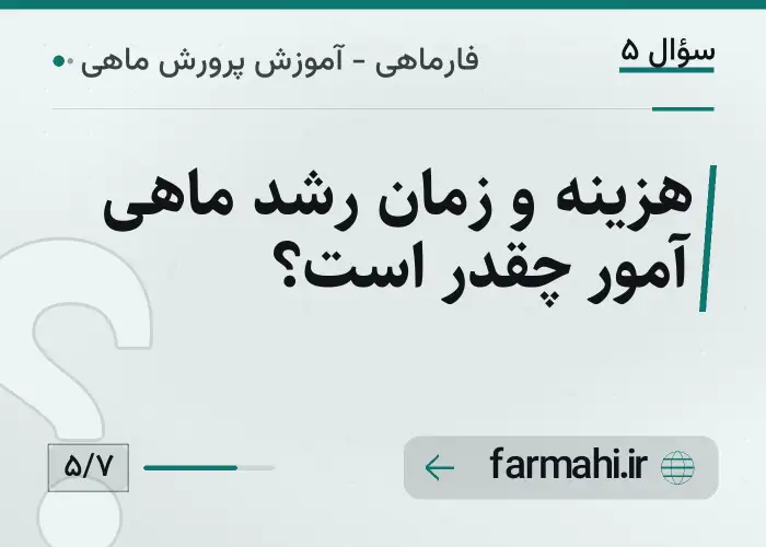 هزینه و زمان رشد ماهی آمور چقدر است؟