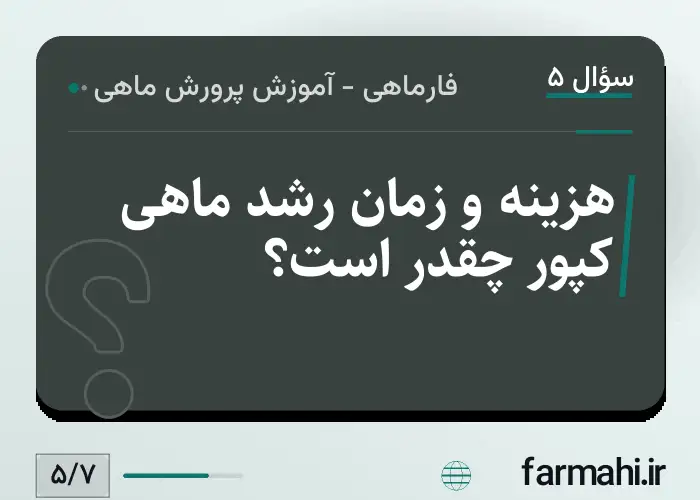 هزینه و زمان رشد ماهی کپور چقدر است؟