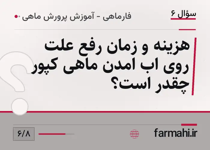 هزینه و زمان رفع علت روی اب امدن ماهی کپور چقدر است؟