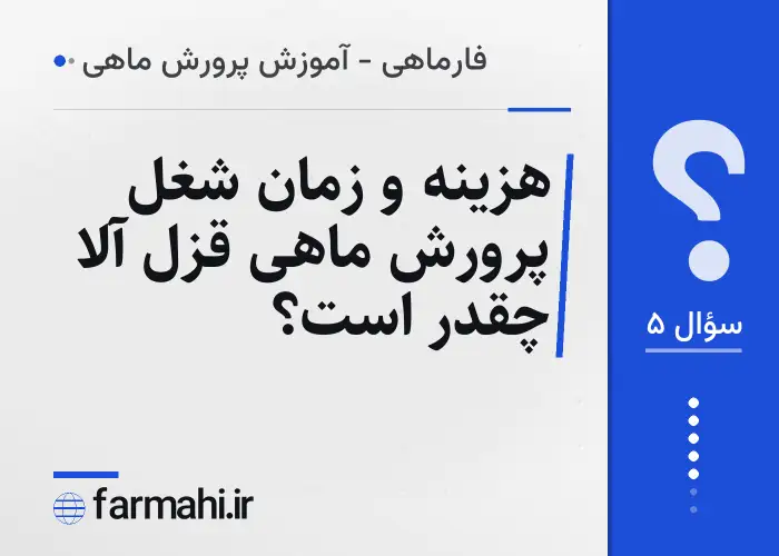 هزینه و زمان شغل پرورش ماهی قزل آلا چقدر است؟