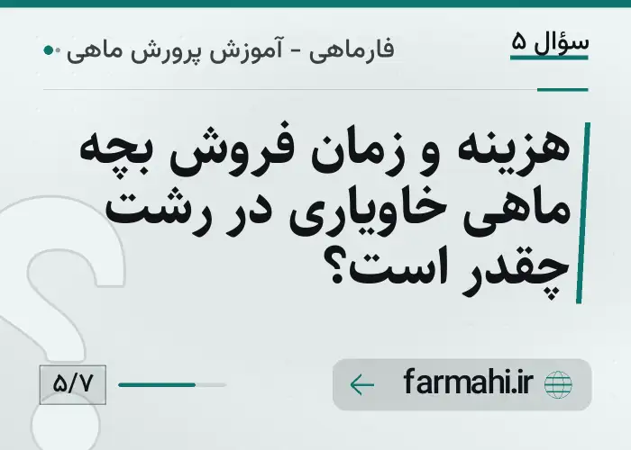 هزینه و زمان فروش بچه ماهی خاویاری در رشت چقدر است؟