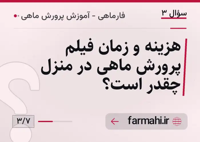 هزینه و زمان فیلم پرورش ماهی در منزل چقدر است؟