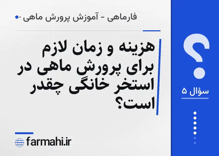 هزینه و زمان لازم برای پرورش ماهی در استخر خانگی چقدر است؟