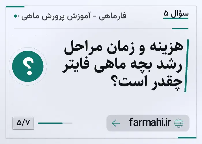 هزینه و زمان مراحل رشد بچه ماهی فایتر چقدر است؟