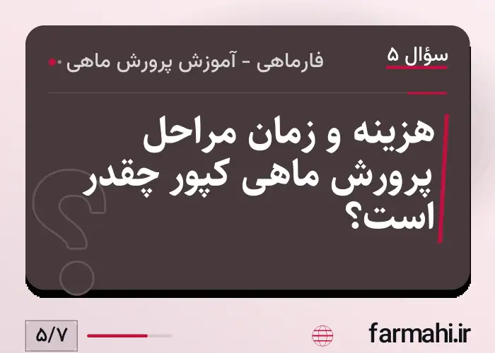 هزینه و زمان مراحل پرورش ماهی کپور چقدر است؟