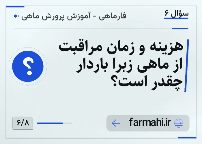 هزینه و زمان مراقبت از ماهی زبرا باردار چقدر است؟