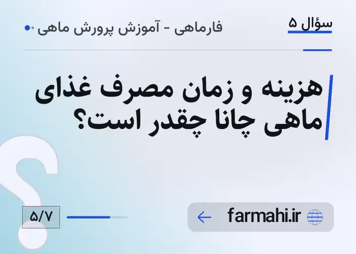 هزینه و زمان مصرف غذای ماهی چانا چقدر است؟