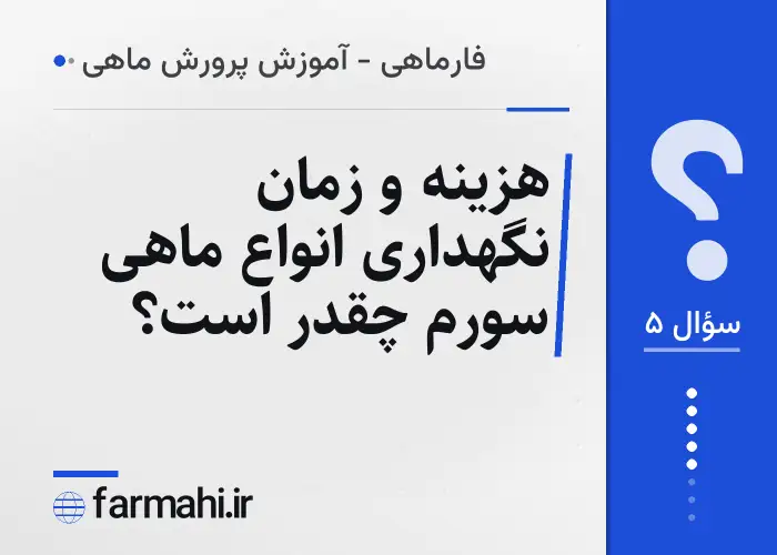 هزینه و زمان نگهداری انواع ماهی سورم چقدر است؟