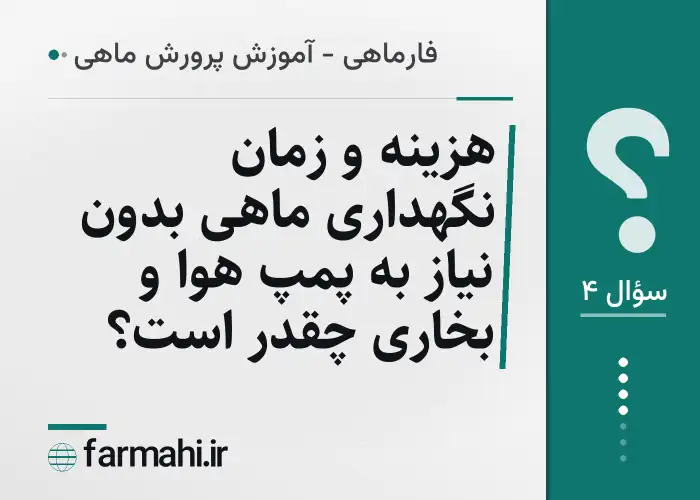 هزینه و زمان نگهداری ماهی بدون نیاز به پمپ هوا و بخاری چقدر است؟
