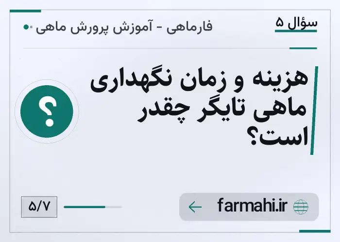 هزینه و زمان نگهداری ماهی تایگر چقدر است؟