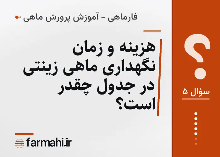 هزینه و زمان نگهداری ماهی زینتی در جدول چقدر است؟
