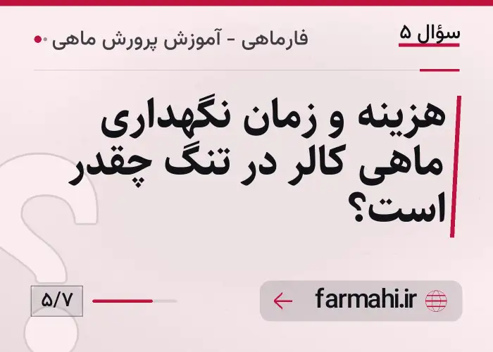 هزینه و زمان نگهداری ماهی کالر در تنگ چقدر است؟