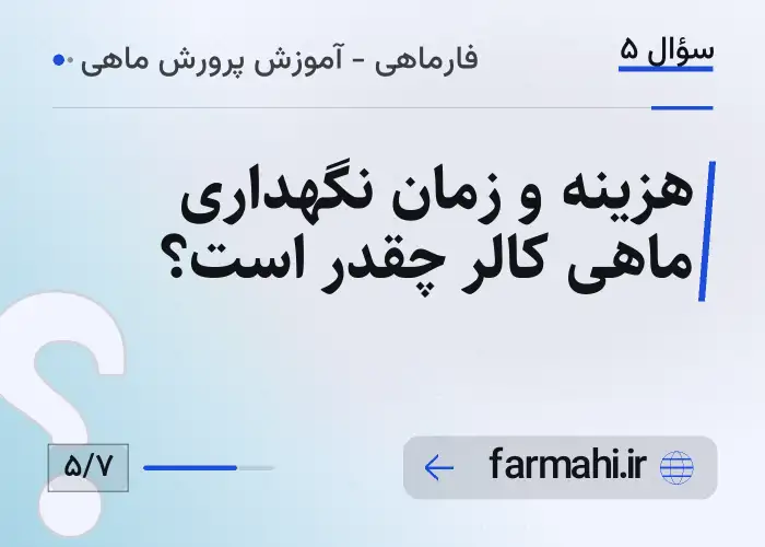 هزینه و زمان نگهداری ماهی کالر چقدر است؟
