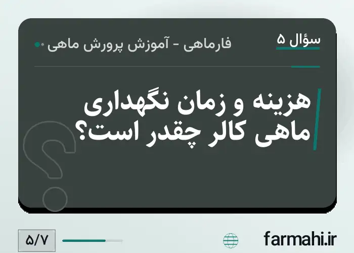 هزینه و زمان نگهداری ماهی کالر چقدر است؟