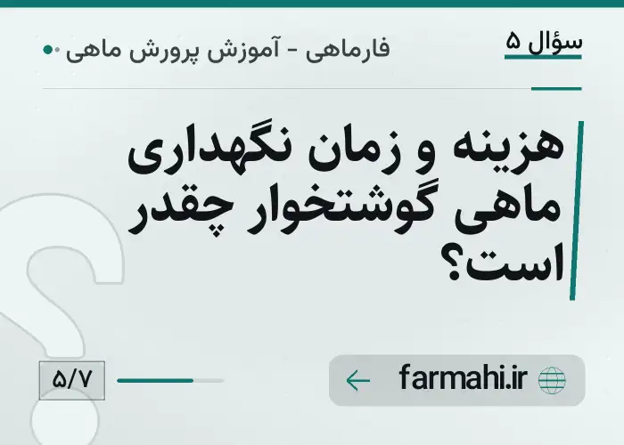هزینه و زمان نگهداری ماهی گوشتخوار چقدر است؟