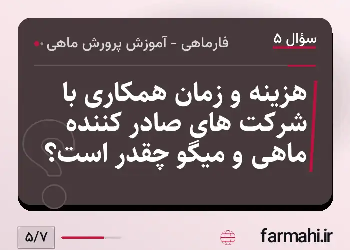 هزینه و زمان همکاری با شرکت های صادر کننده ماهی و میگو چقدر است؟