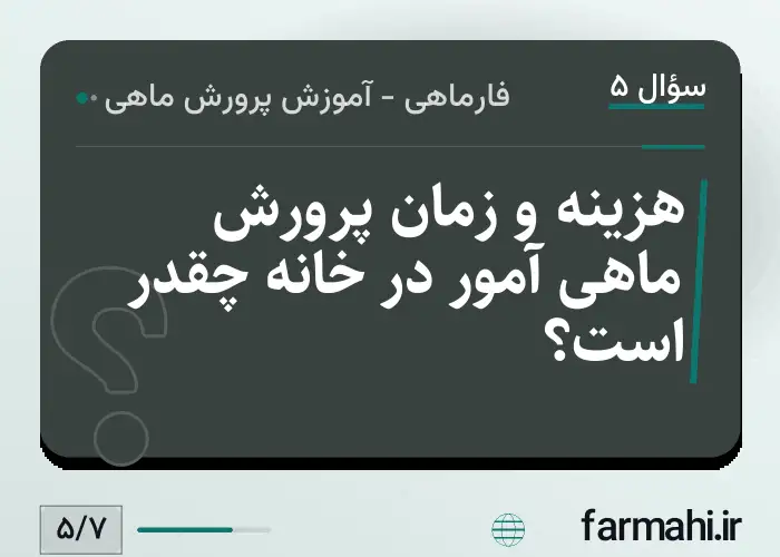 هزینه و زمان پرورش ماهی آمور در خانه چقدر است؟