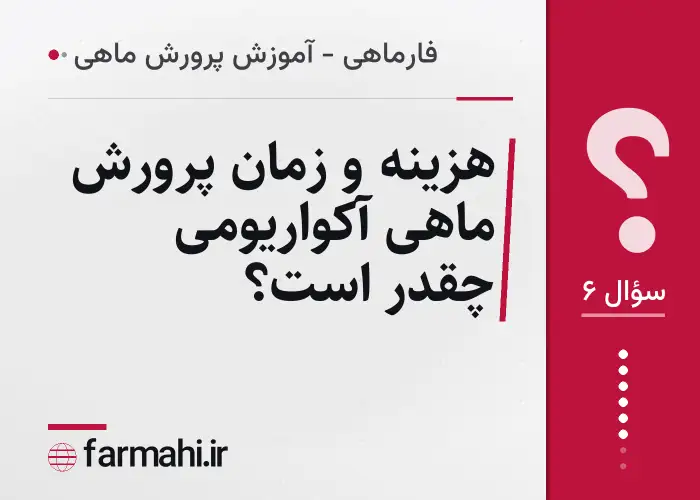هزینه و زمان پرورش ماهی آکواریومی چقدر است؟