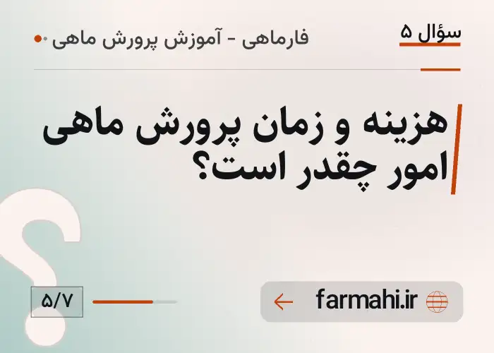 هزینه و زمان پرورش ماهی امور چقدر است؟