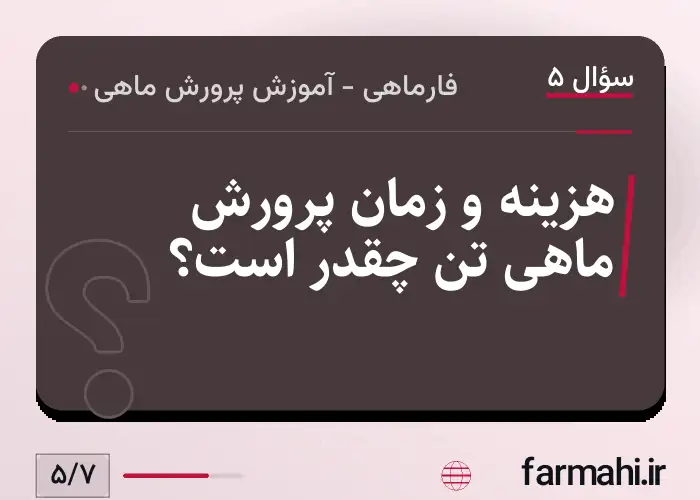 هزینه و زمان پرورش ماهی تن چقدر است؟