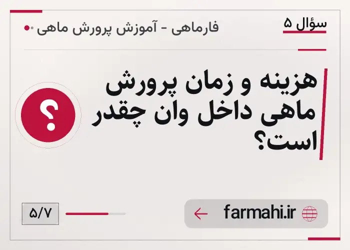 هزینه و زمان پرورش ماهی داخل وان چقدر است؟