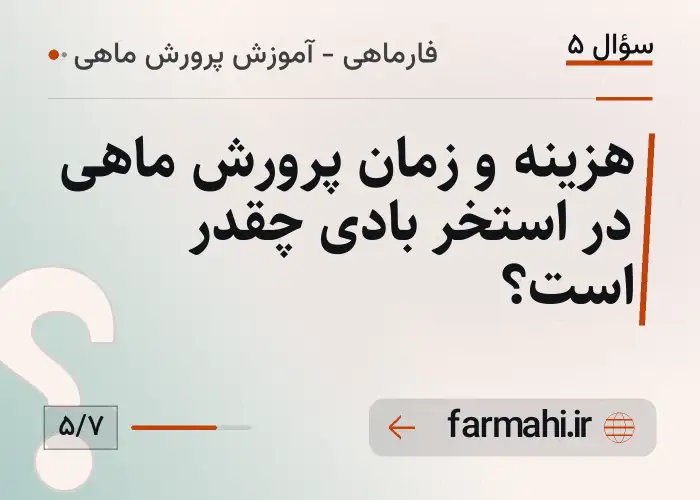 هزینه و زمان پرورش ماهی در استخر بادی چقدر است؟