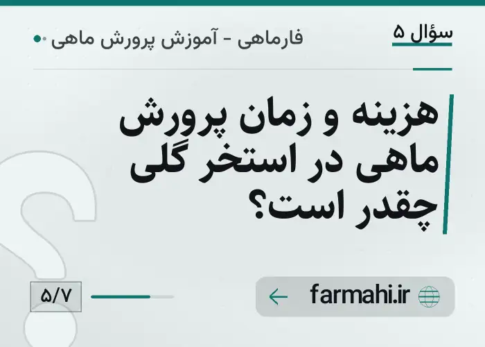 هزینه و زمان پرورش ماهی در استخر گلی چقدر است؟