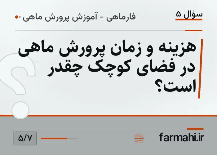 هزینه و زمان پرورش ماهی در فضای کوچک چقدر است؟