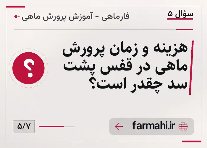 هزینه و زمان پرورش ماهی در قفس پشت سد چقدر است؟
