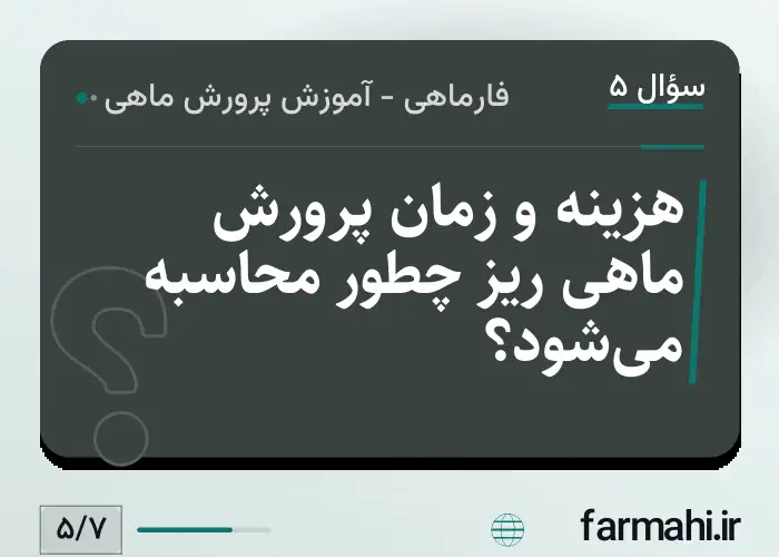 هزینه و زمان پرورش ماهی ریز چطور محاسبه می‌شود؟