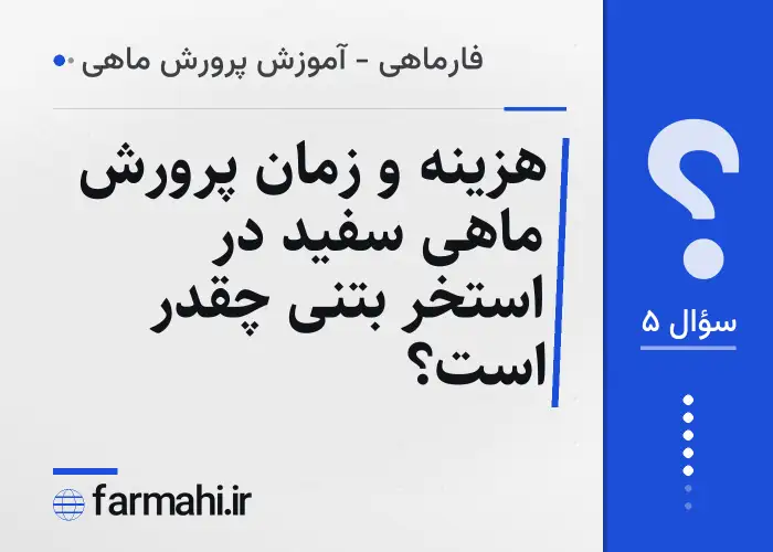 هزینه و زمان پرورش ماهی سفید در استخر بتنی چقدر است؟