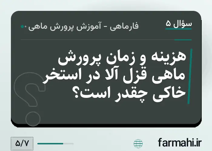 هزینه و زمان پرورش ماهی قزل آلا در استخر خاکی چقدر است؟