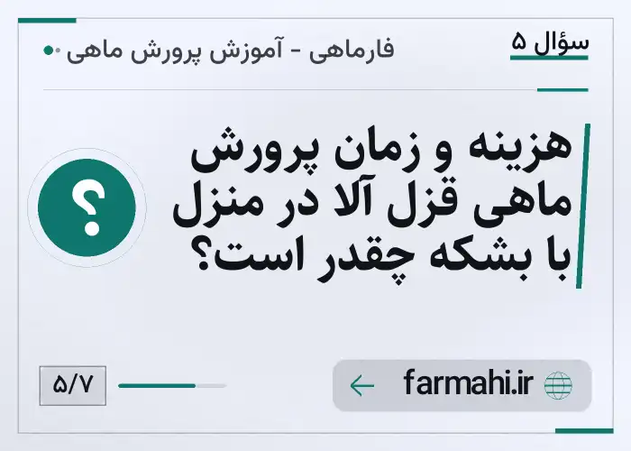 هزینه و زمان پرورش ماهی قزل آلا در منزل با بشکه چقدر است؟