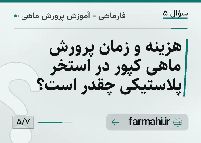 هزینه و زمان پرورش ماهی کپور در استخر پلاستیکی چقدر است؟
