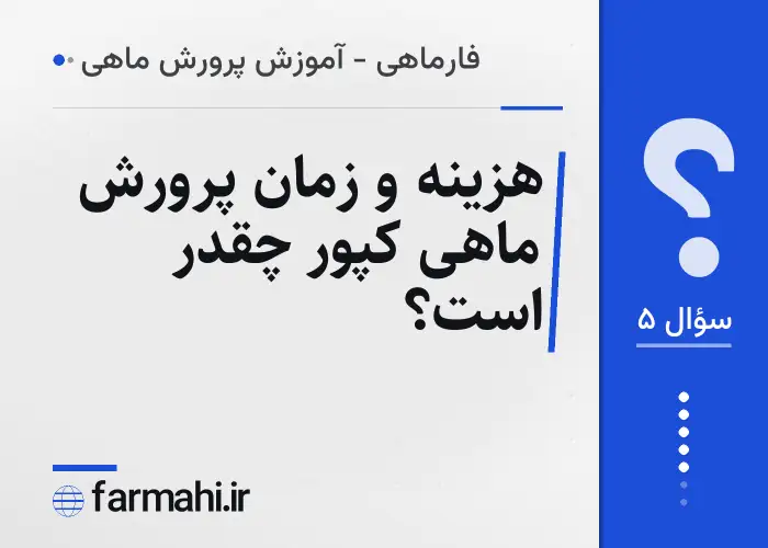 هزینه و زمان پرورش ماهی کپور چقدر است؟