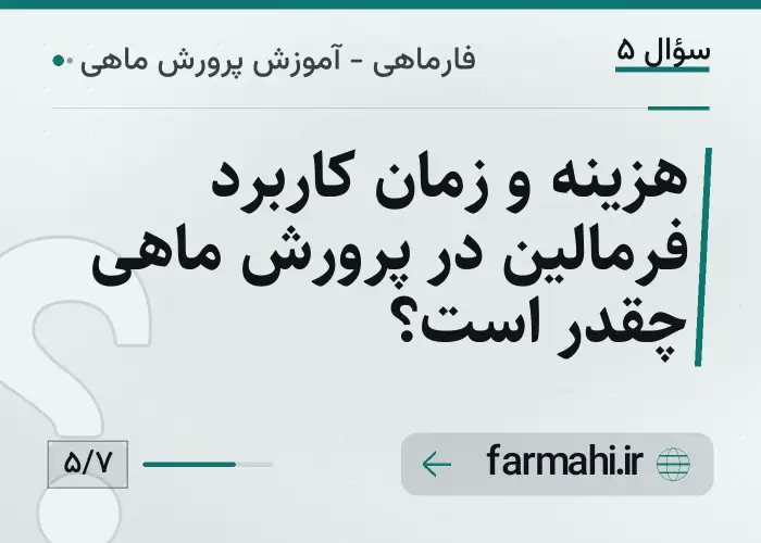 هزینه و زمان کاربرد فرمالین در پرورش ماهی چقدر است؟