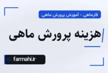هزینه پرورش ماهی